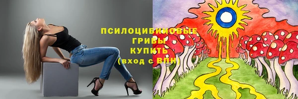 spice Магадан